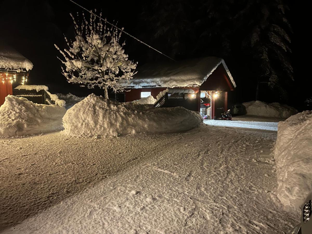 Oggevatn Apartment Birkenes ภายนอก รูปภาพ